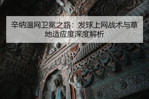 xin-na-wen-wang-wei-mian-zhi-lu-fa-qiu-shang-wang-zhan-shu-yu-cao-di-shi-ying-du-shen-du-jie-xi-2-466.jpg