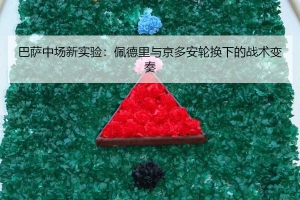 ba-sa-zhong-chang-xin-shi-yan-pei-de-li-yu-jing-duo-an-lun-huan-xia-de-zhan-shu-bian-zou-2-367.jpg
