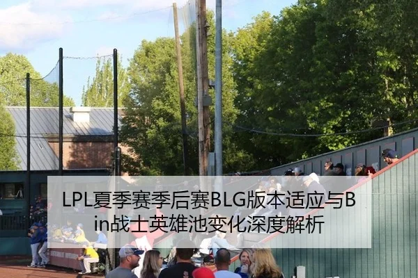 LPL夏季赛季后赛BLG版本适应与Bin战士英雄池变化深度解析