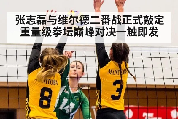 张志磊与维尔德二番战正式敲定重量级拳坛巅峰对决一触即发